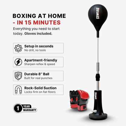 Orbis Boxing Pro