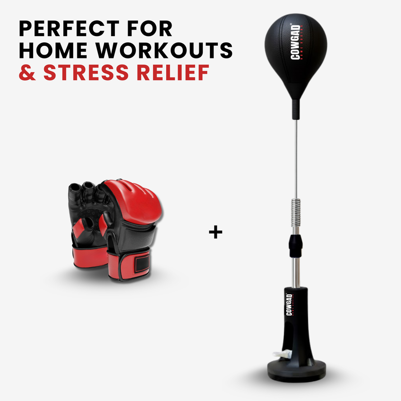 Orbis Boxing Pro