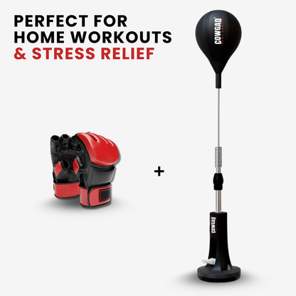 Orbis Boxing Pro