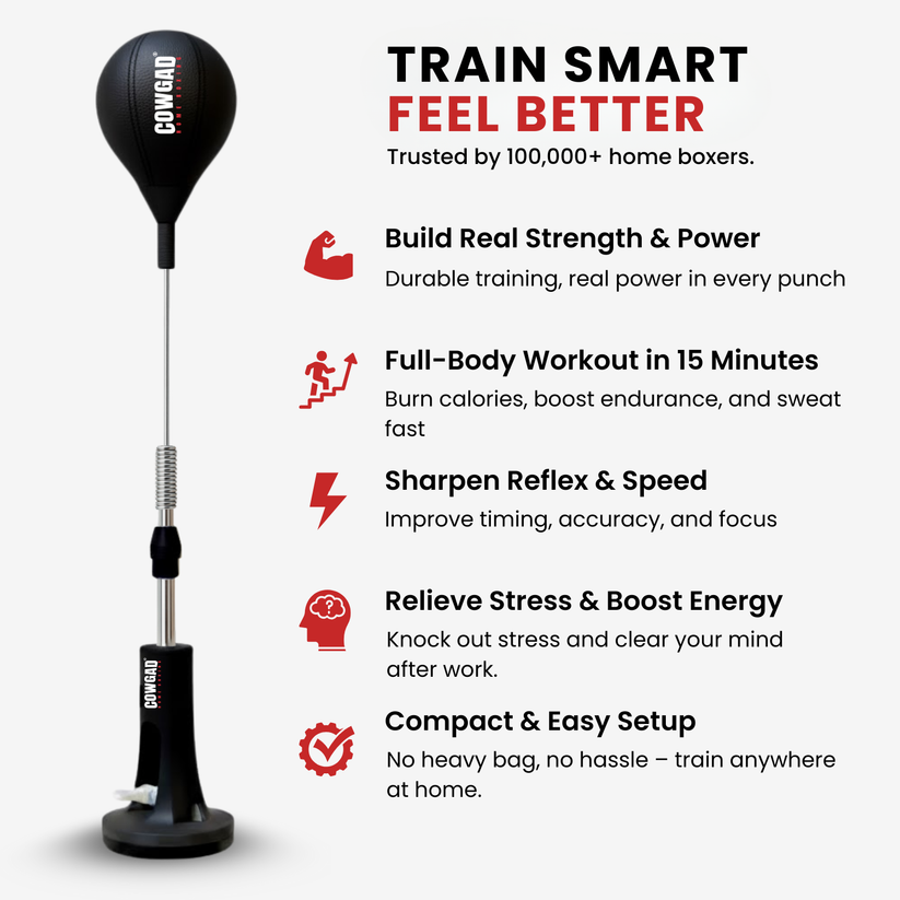 Orbis Boxing Pro