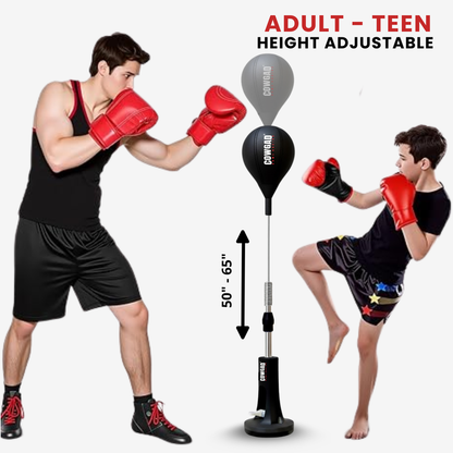 Orbis Boxing Pro