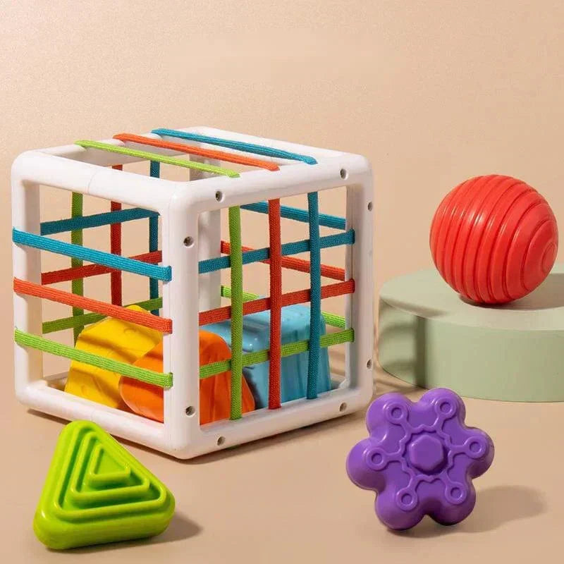 Orbis Box - Educational Box