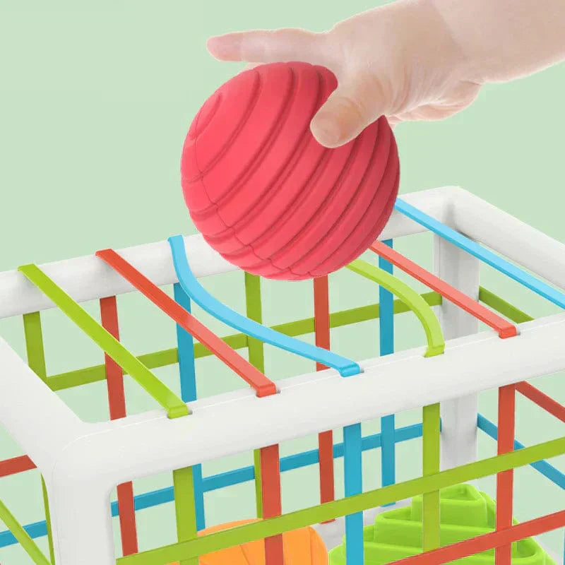 Orbis Box - Educational Box