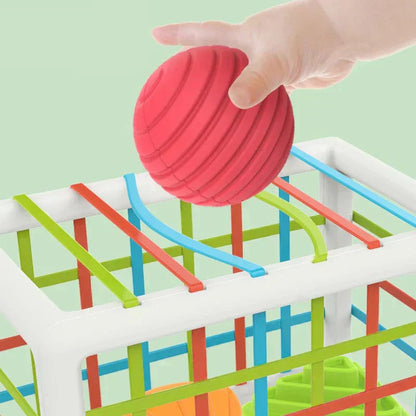 Orbis Box - Educational Box