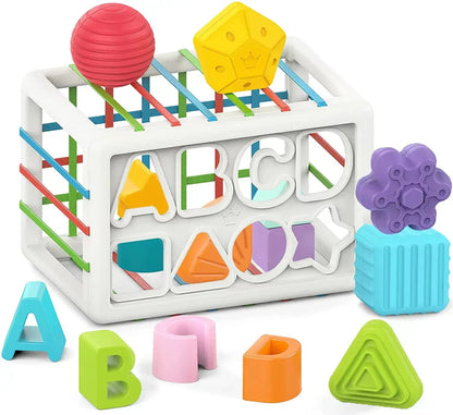 Orbis Box - Educational Box