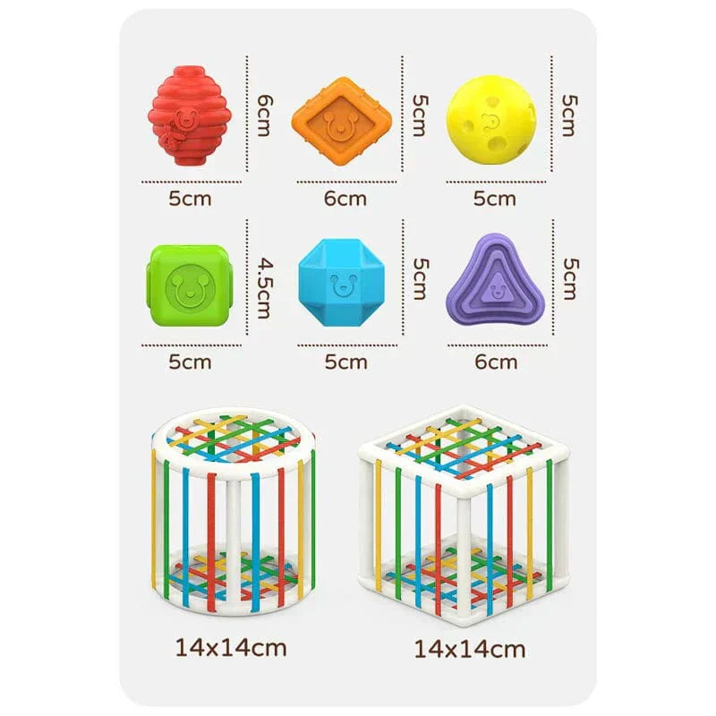 Orbis Box - Educational Box