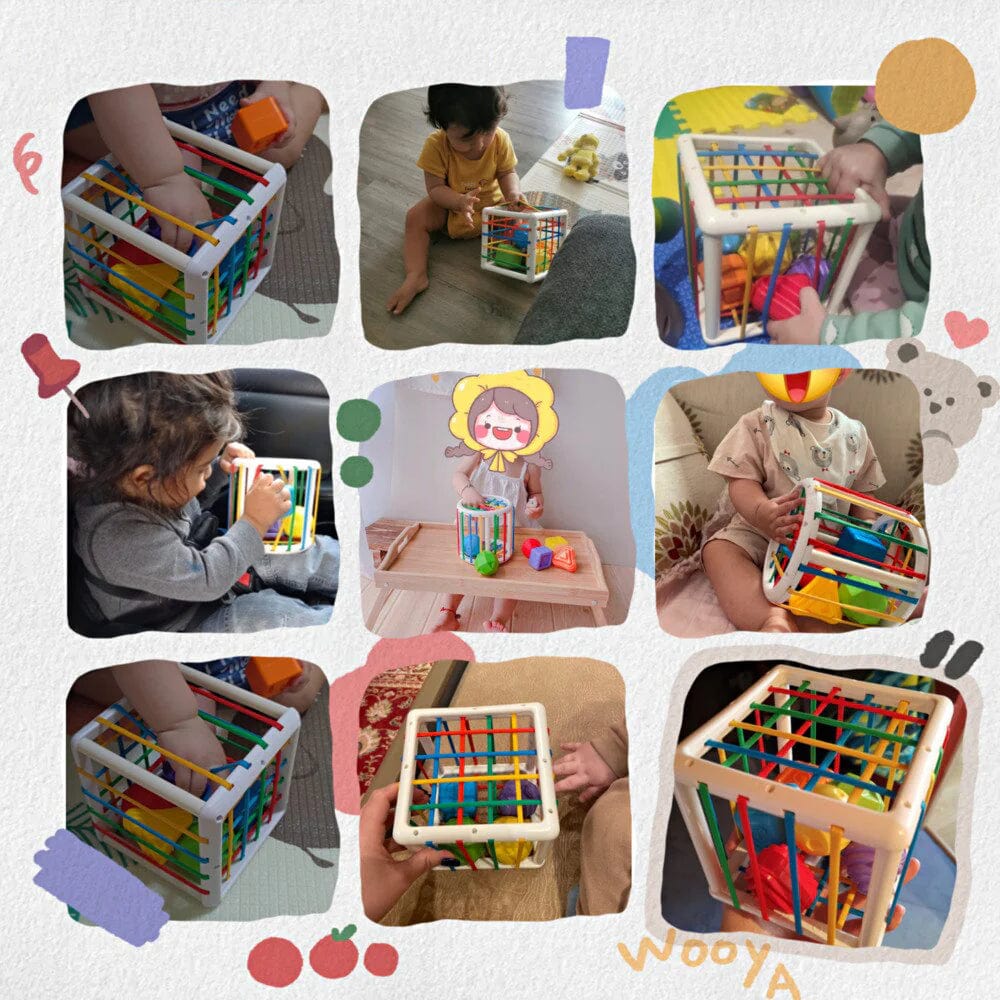 Orbis Box - Educational Box