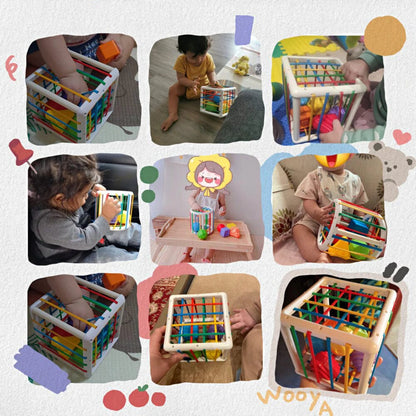Orbis Box - Educational Box